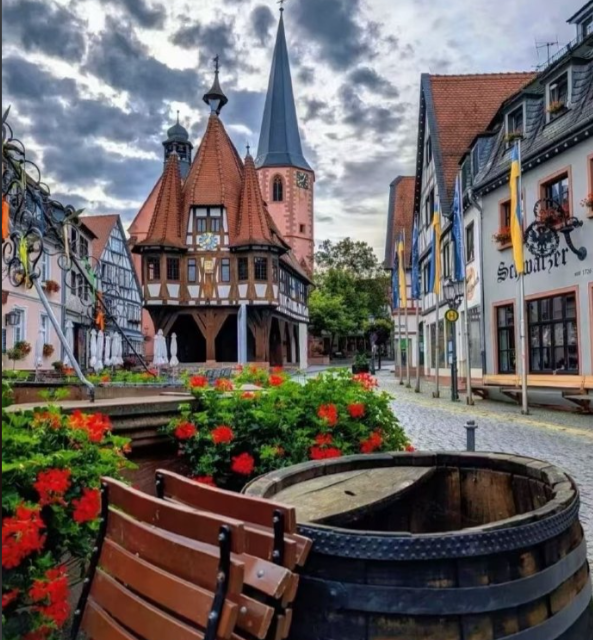 免费参与联合国项目｜线上青年领袖招募中